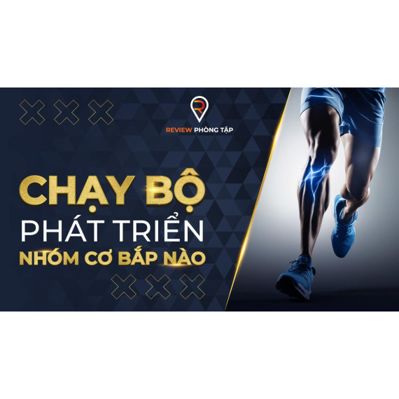 Chạy bộ phát triển nhóm cơ bắp nào